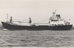 Delcampe - ALTAIR Cargo Ship Postcard Size Real Photo #SDM382 - Comercio