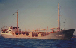 Delcampe - PAUL WESTERS Cargo Ship Postcard Size Real Photo #SDM385 - Comercio