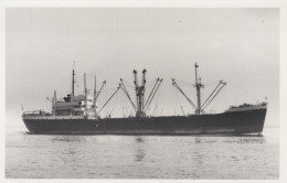 Delcampe - DELIAN Cargo Ship 1986 Postcard Size Real Photo #SDM375 - Comercio