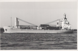 Delcampe - Birka Container Ship 1970 Postcard Size Real Photo #SDM366 - Comercio