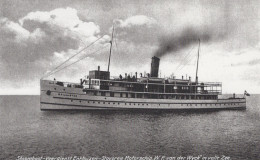 Delcampe - Motorship W F Van Der Wyck Ferry Enkhuizen Postcard Size Real Photo #SDM380 - Ferries