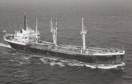 Delcampe - HELENA Cargo Ship Postcard Size Real Photo #SDM374 - Comercio