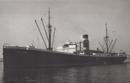 Delcampe - HELDER Cargo Ship Postcard Size Real Photo #SDM362 - Comercio