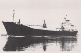 Delcampe - ALTAIR Cargo Ship Postcard Size Real Photo #SDM381 - Comercio
