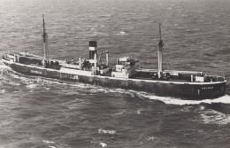 Delcampe - HELDER Cargo Ship Postcard Size Real Photo #SDM358 - Comercio
