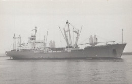 Delcampe - Cargo Ship Postcard Size Real Photo #SDM361 - Comercio
