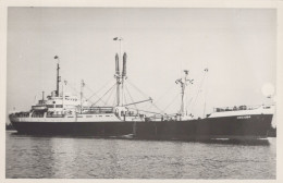 Delcampe - HECUBA Cargo Ship Postcard Size Real Photo #SDM356 - Comercio