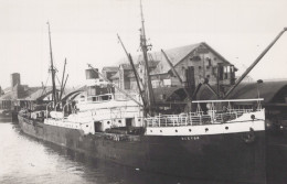 Delcampe - HECTOR Cargo Ship 1899 Postcard Size Real Photo #SDM353 - Comercio
