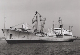 Delcampe - ELLANORA Cargo Ship Postcard Size Real Photo #SDM364 - Comercio