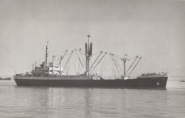 Delcampe - Holar Cargo Ship Postcard Size Real Photo #SDM355 - Comercio