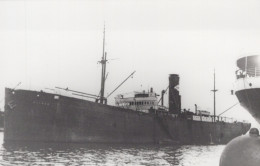 Delcampe - WANDERER Cargo Ship Postcard Size Real Photo #SDM357 - Comercio