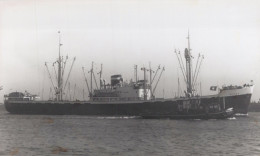 Delcampe - SARYK Cargo Ship Postcard Size Real Photo #SDM346 - Comercio