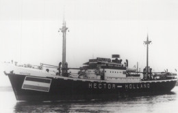 Delcampe - HECTOR Cargo Ship Postcard Size Real Photo #SDM351 - Comercio