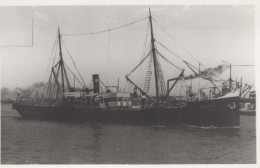 Delcampe - Helene Cargo Ship Postcard Size Real Photo #SDM359 - Comercio