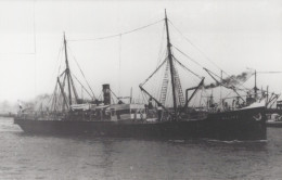 Delcampe - Helena Cargo Ship 1899 Postcard Size Real Photo #SDM360 - Comercio
