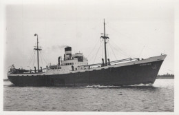 Delcampe - Gordias Cargo Ship Postcard Size Real Photo #SDM341 - Comercio