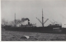 Delcampe - HECTOR Cargo Ship Amsterdam Postcard Size Real Photo #SDM352 - Comercio