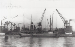 Delcampe - Willy Cargo Ship Postcard Size Real Photo #SDM335 - Comercio