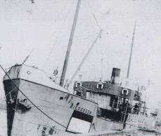 Delcampe - BIESBOSCH Cargo Ship Postcard Size Real Photo #SDM328 - Comercio