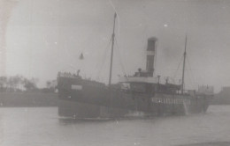 Delcampe - Cargo Ship Nicolaas 1903 Postcard Size Real Photo #SDM334 - Comercio