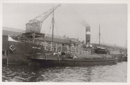 Delcampe - Betsy Anna Cargo Ship Postcard Size Real Photo #SDM333 - Comercio