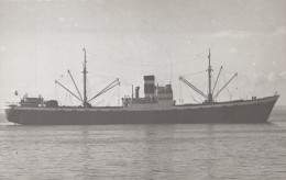 Delcampe - TREHERBERT Cargo Ship Postcard Size Real Photo #SDM339 - Comercio
