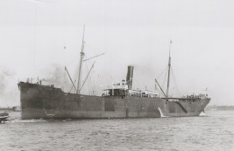 Delcampe - THORPE Cargo Ship Postcard Size Real Photo #SDM326 - Comercio