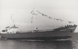 Delcampe - AERDENHOUT Cargo Ship Postcard Size Real Photo #SDM324 - Comercio