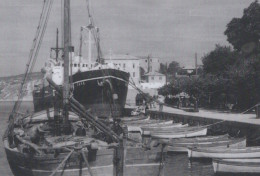 Delcampe - Sava Ship 1900 Postcard Size Real Photo #SDM331 - Comercio