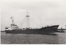 Delcampe - ELSHOUT Cargo Ship Postcard Size Real Photo #SDM320 - Comercio