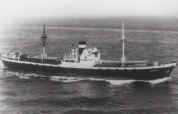 Delcampe - GOODIAS Cargo Ship Postcard Size Real Photo #SDM342 - Comercio