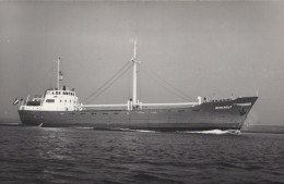 Delcampe - BERKHOUT Cargo Ship Postcard Size Real Photo #SDM321 - Comercio