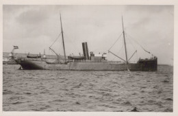 Delcampe - MINISTER TAK VAN POORTVLIET Cargo Ship 1891 Postcard Size Real Photo #SDM317 - Comercio