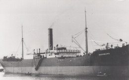 Delcampe - SS Voorburg Cargo Ship 1901 Postcard Size Real Photo #SDM318 - Dampfer