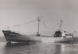 Delcampe - AERDENHOUT Cargo Ship Postcard Size Real Photo #SDM323 - Comercio