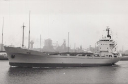 Delcampe - RING Cargo Ship Postcard Size Real Photo #SDM308 - Comercio