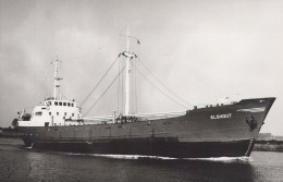 Delcampe - ELSHOUT Cargo Ship Postcard Size Real Photo #SDM319 - Comercio