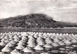 Delcampe - TRAPANI: Raccolta Del Sale    1961 - Trapani
