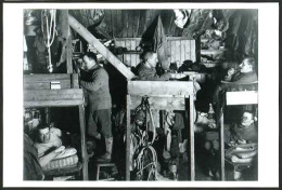 Delcampe - British ANTARCTIC Expedition 1911 Postcard TENEMENTS BUNKS In Hut Of Bowers, Etc - Non Classificati