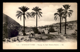 Delcampe - ALGERIE - SAHARA - PALMIERS-DATTIERS - Szenen