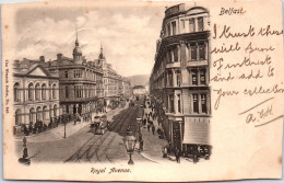 Delcampe - Irlande - Royal Avenue BELFAST - Sonstige & Ohne Zuordnung