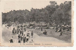 Delcampe - Hofstade La Promenade - Zemst