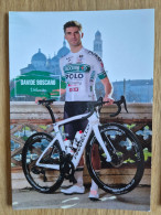Delcampe - Card Davide Boscaro - Team Padovani Polo Cherry Bank - 2026  -  Cycling - Cyclisme - Ciclismo - Wielrennen - Radsport