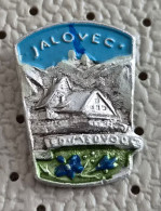 Delcampe - Mountain Jalovec 2643m PD Medvode Alpinism Mountaineering Edelweiss Slovenia Pin - Alpinisme