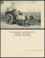 Delcampe - India Old Postcard Native Men Bulls Double Bullock Cart - Indien