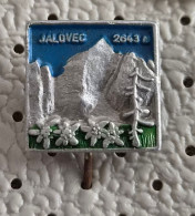 Delcampe - Mountain Jalovec 2643m Alpinism Mountaineering Edelweiss Slovenia Pin - Alpinisme
