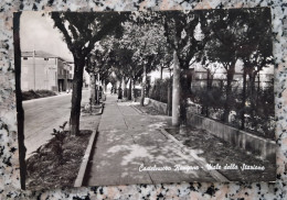 Delcampe - Eb322 Cartolina Castelnuovo Rangone Viale Della Stazione Provincia Di Modena - Modena