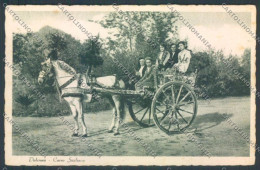 Delcampe - Palermo Carretto Siciliano Asino Cartolina ZT8438 - Palermo