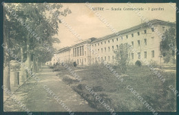 Delcampe - Belluno Feltre Scuola Commerciale Cartolina JK4232 - Belluno