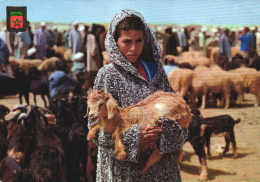 Delcampe - ETHNICS, CATTLE MARKET, GOAT, SHEEP, GIRL, EMBLEM, POSTCARD, MOROCCO - Afrika